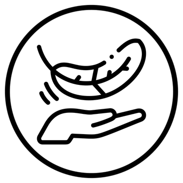Icon illustrating lightweight and portable chair with carry handle